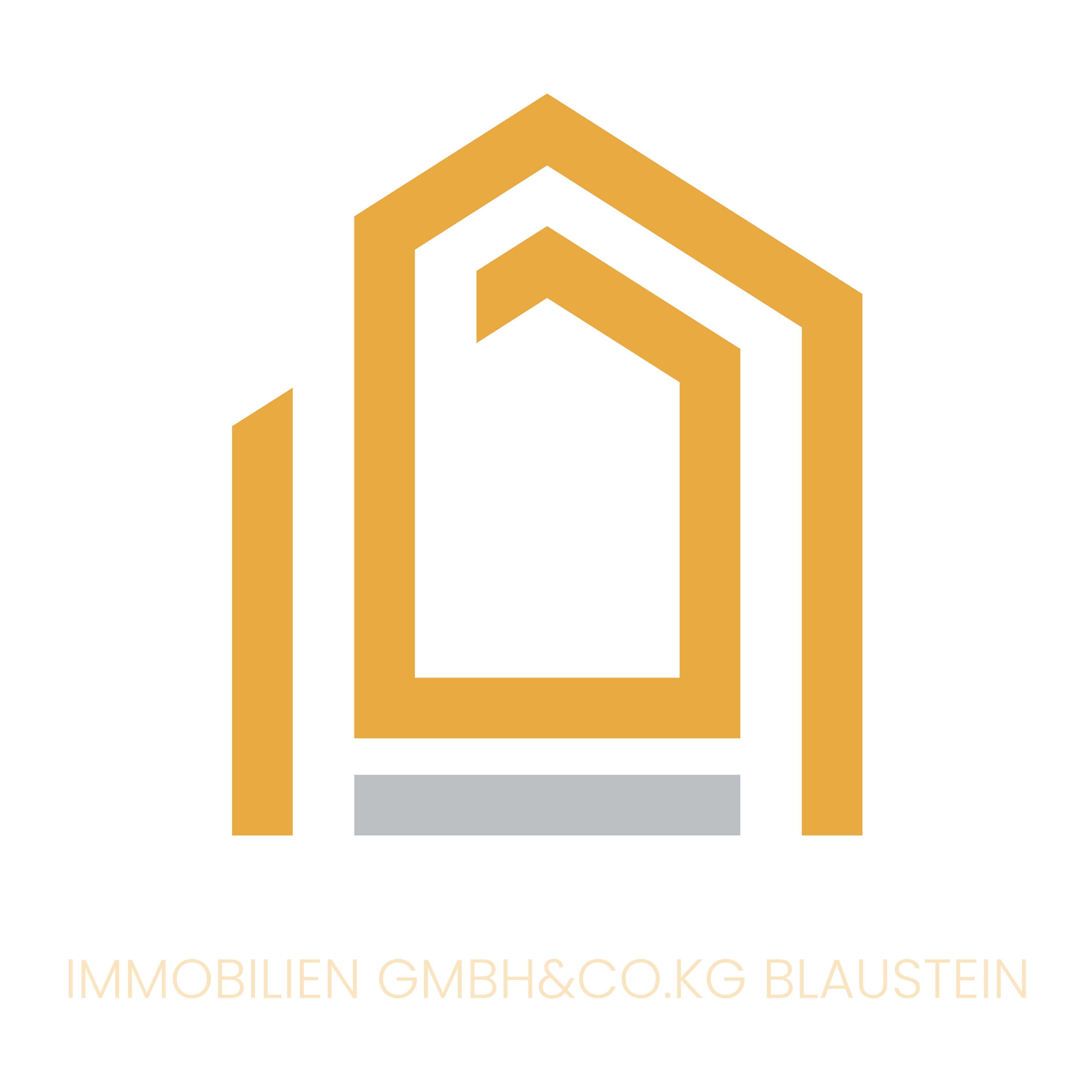 Logo Wittig Fritz Gent's Boxing Ulm Verein